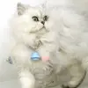 Automatic Laser Cat Toy Bell Shaped Self Entertainment Pet Amusing Toy Bite Resistant Cat Laser Collar Pet Supplies