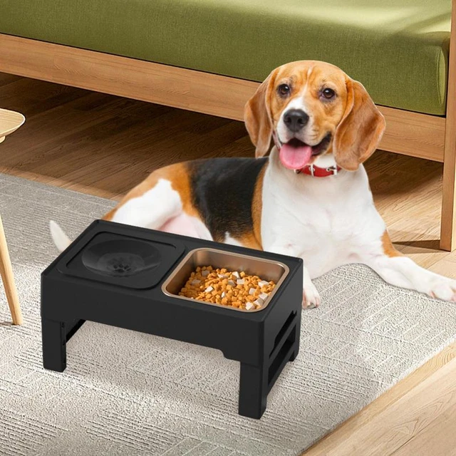 Adjustable Height Dog Double Bowls Stand, Pet Feeding Dish, Medium, Big Dog,  Elevated Food, Water Feeders, Lift Table for Dogs - AliExpress