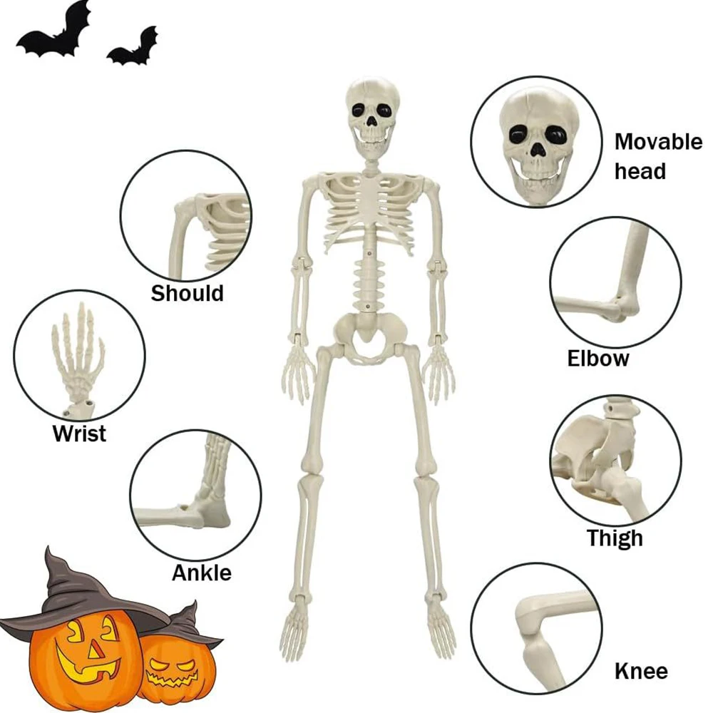 Halloween Human Shape Skeleton 5