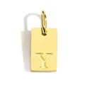 Y