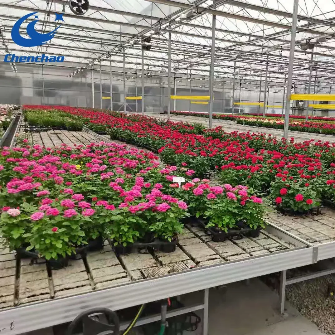 Sistema hidropónico Vertical para granja, mesa de flujo y Ebb - AliExpress, image size:1074x1074