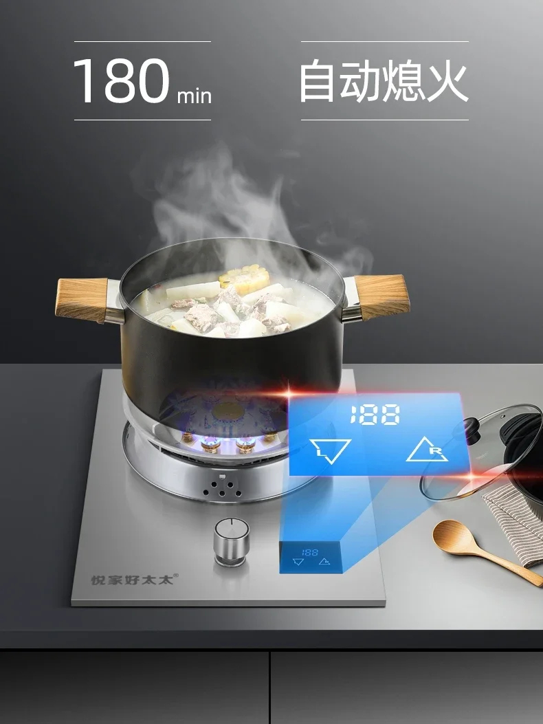 Kitchen Versatile Stainless Steel Gas Stove Household Gas Stove Liquefied Gas Natural Gas Embedded Desktop Furnace 4