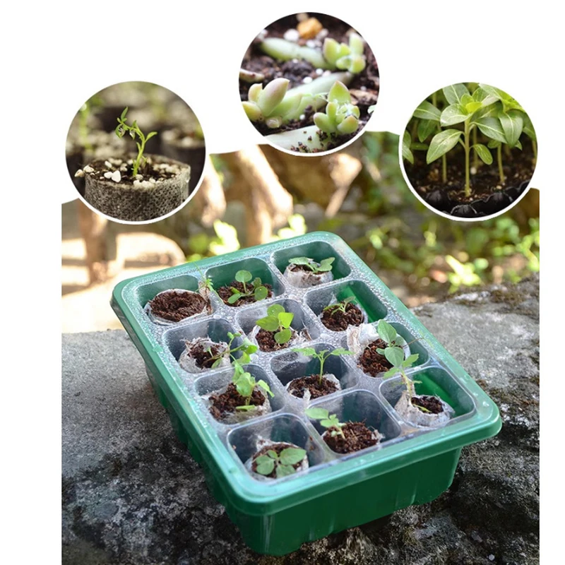 Seed Starter Tray 6/12 Holes With Humidity Dome Succulent Propagation Mini Greenhouse Germination Seed Starter Tray Seedling Tray