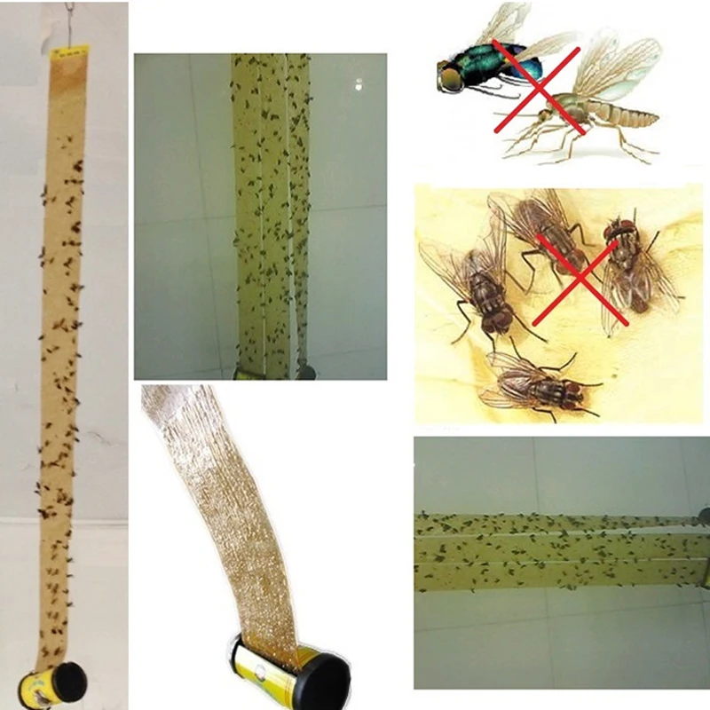 https://ae01.alicdn.com/kf/S60f39d969c84475aa31c5a6e53effb32m/4Rolls-Sticky-Fly-Ribbons-Roll-Dual-Sided-flies-Paper-Strips-Insect-Bug-Home-Glue-Flytrap-Catcher.jpg