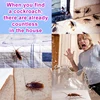 Eliminate cockroaches 2