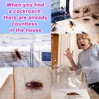 Eliminate cockroaches 2