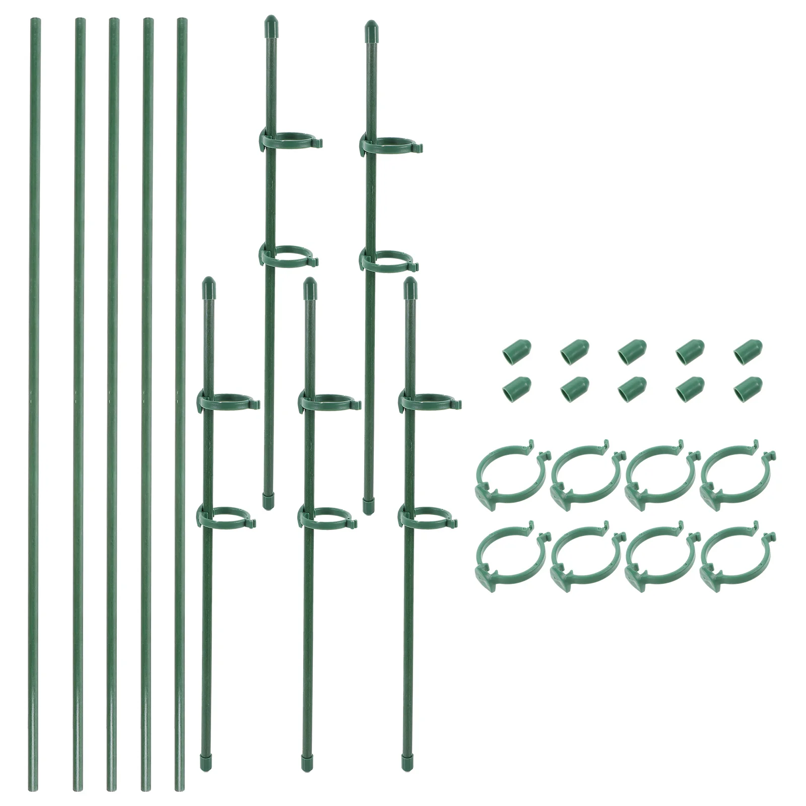 

Phalaenopsis Stand Plant Supports Garden Stakes Climbing Gardening Supplies Flower Braces