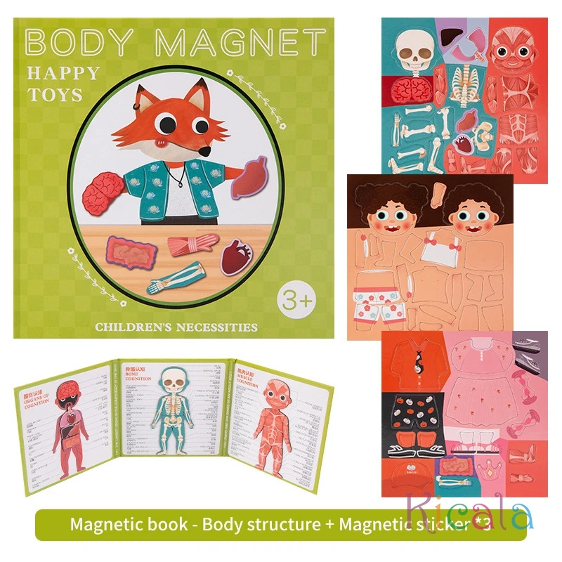 Kids Human Body Organs Muscles Skeleton Cognition Magnetic Puzzle Interactive Toy Montessori Busy Book Preshool Sensory Toy