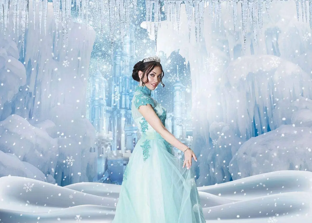 Theme Party White Winter Wonderland Outfit Photoshoot Backdrop