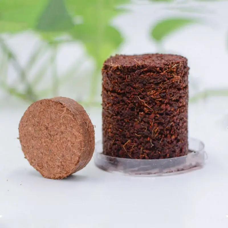 Natural Coir Discs Round Coconut Bricks for Home Gardening Reptile Aquarium 6