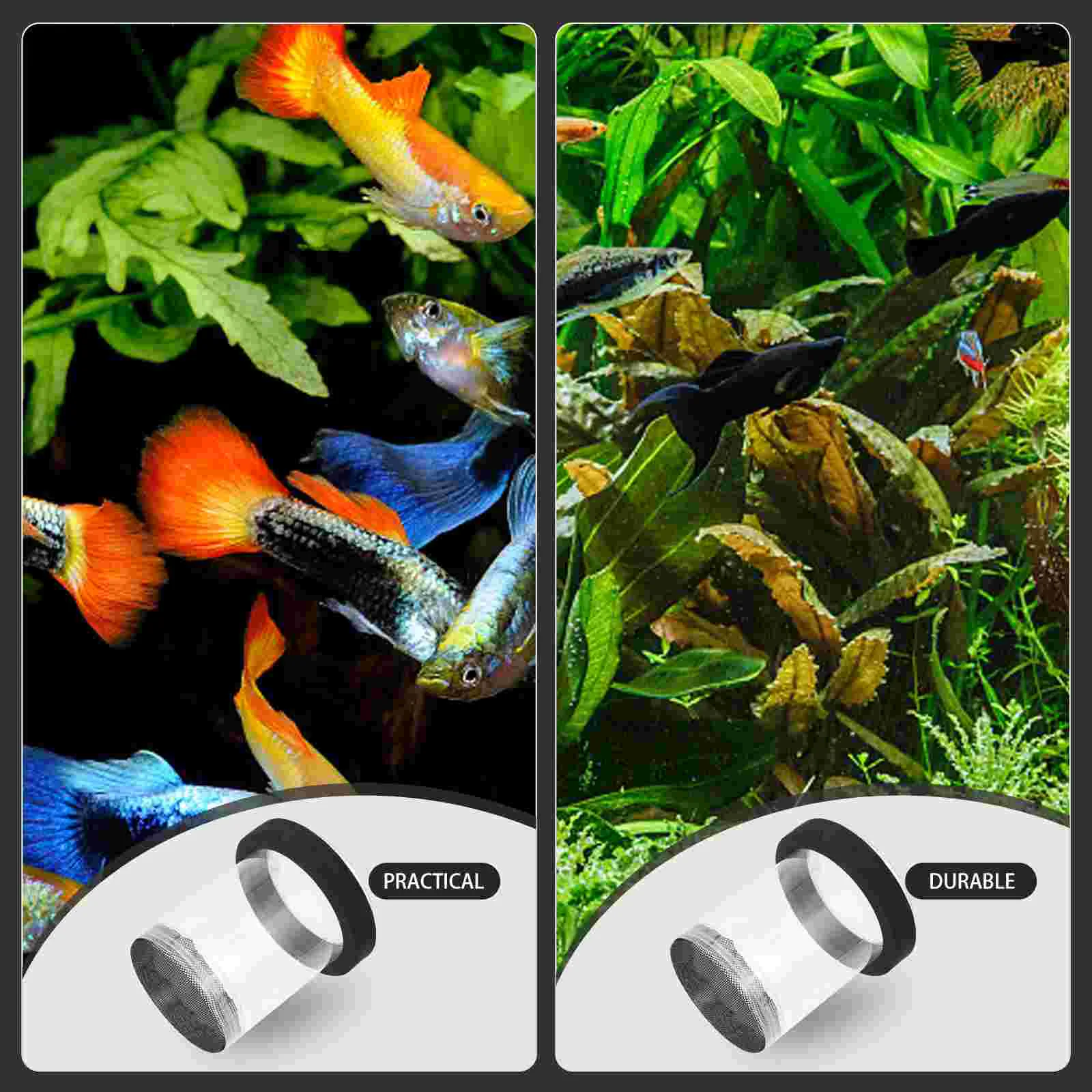 Isolation Box Seedling Pot Fish Tank Hatchery Incubators Floating Breeding Case