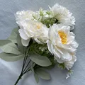 Image 20