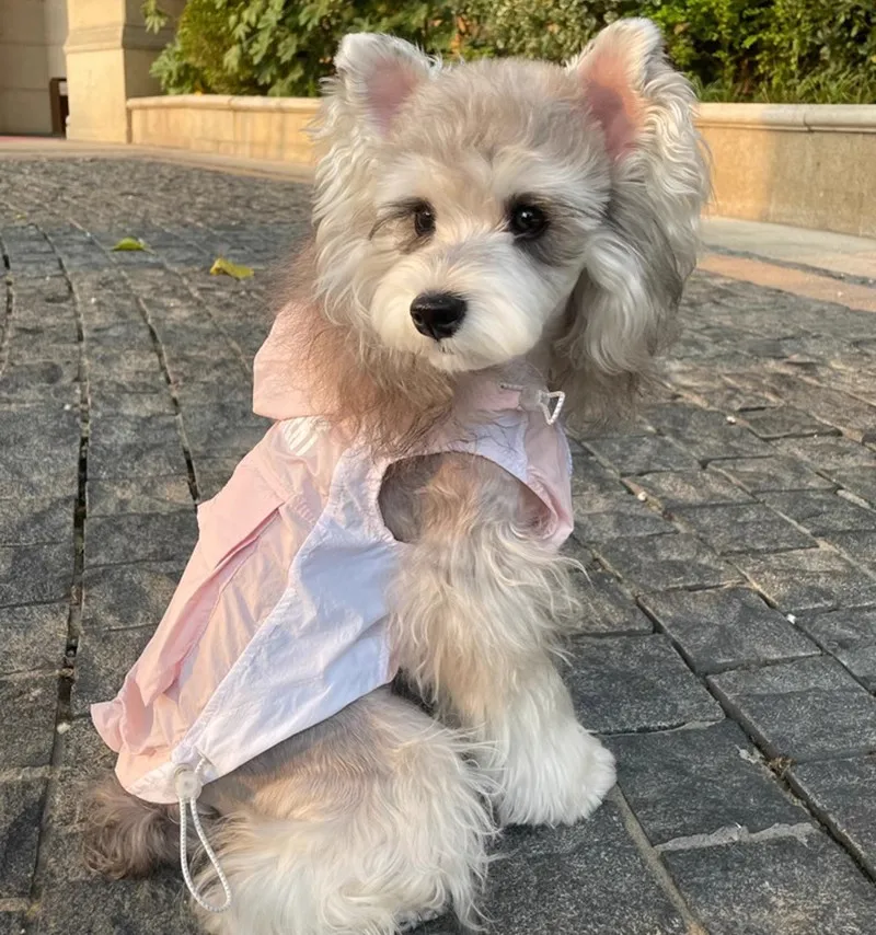 가볍고 통기성이 좋으며 내구성이 뛰어나고 고품질인 반려동물 쿨링 조끼 강아지 야외용 코트