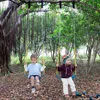 Swings Seats Heavy Duty with 66" Chain Plastic Coated, Playground Swing Set Accessories Replacement with Snap Hooks 6