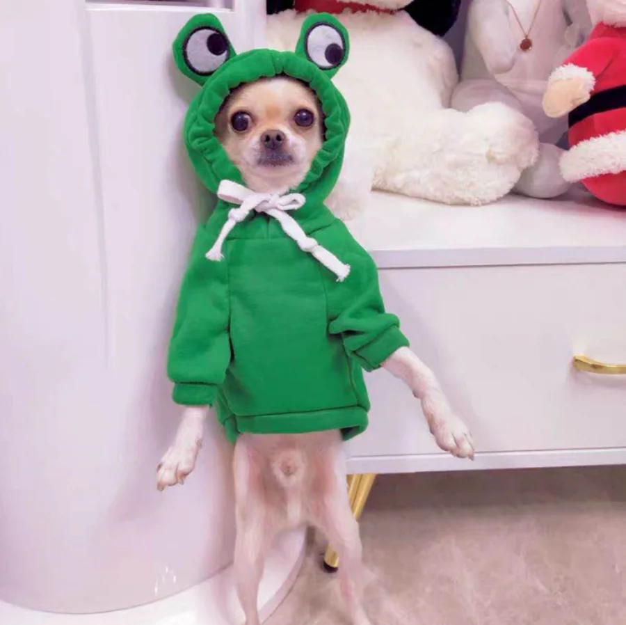 Green Cute Frog Pet Sweater - Puppy Hoodie for Dogs and Cats