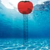Cartoon Pattern Pool Water Temperature Meter Accurate Portable Water Temperature Measuring Meter Tool for Spa Fish Pond Aquarium 5