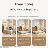 Folding sofa bed dual-purpose small apartment living room bedroom tatami rental house lazy sofa accompanying bed anti-fall pad 2