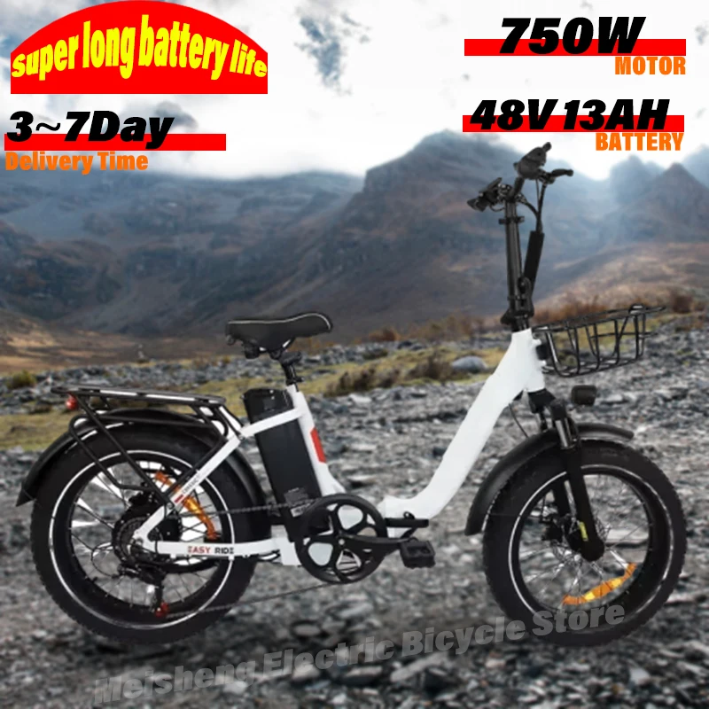 BLJ Ebike 20X4.0 Tire 750W 48V 13AH 20 inches Men's and women's electric bicycle suitable for urban beaches electric bicycle electric bike
