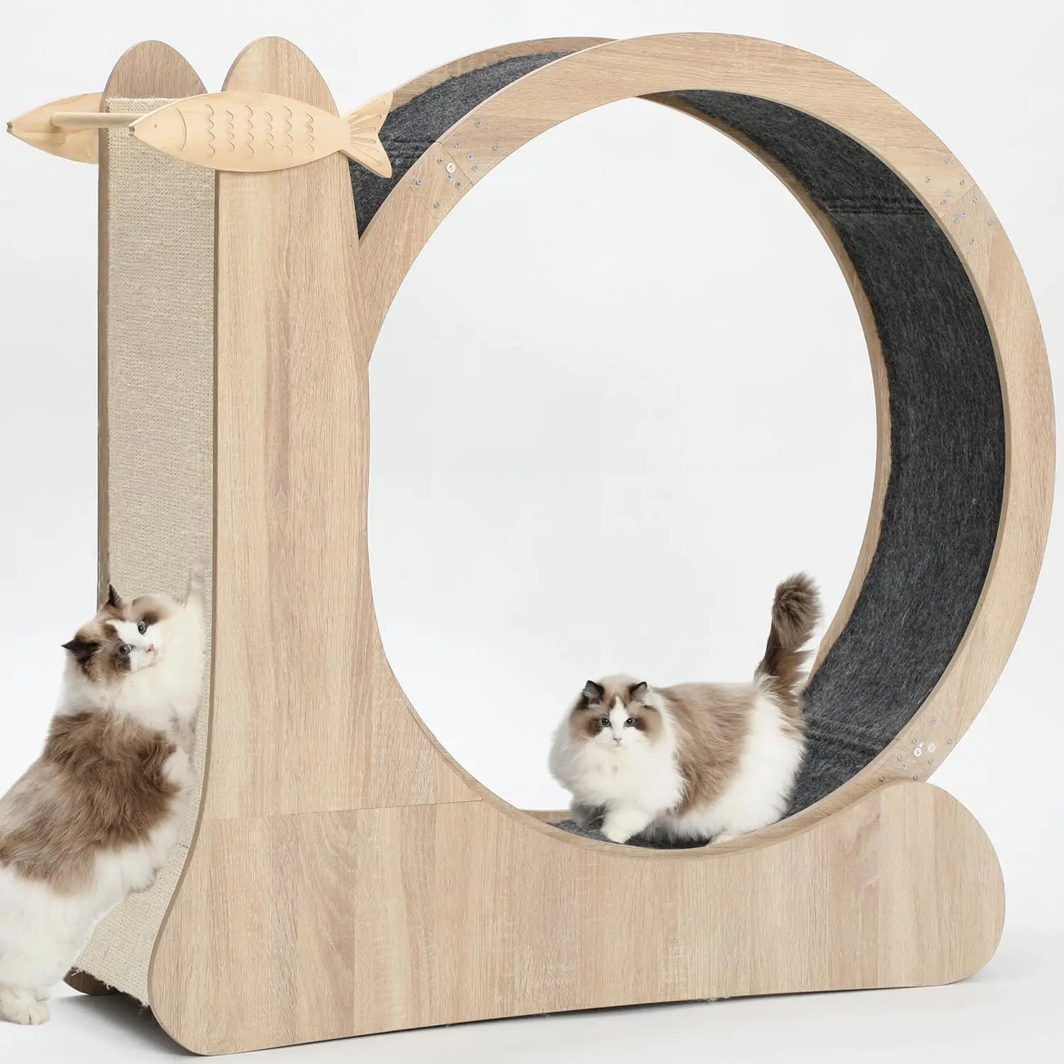 Large Cat Wheel,4-in-1 Cat Exercise Wheel, Treadmill Running Wheel Exerciser for Indoor Cats with Scratcher