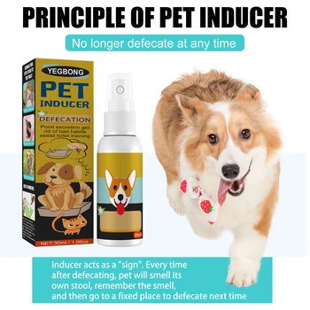 Dog Potty Training Spray Cats Kitten Outdoor Urine Poops Stool Location Helps Puppies Toilet Pet Positioning Defecation Inducer 2