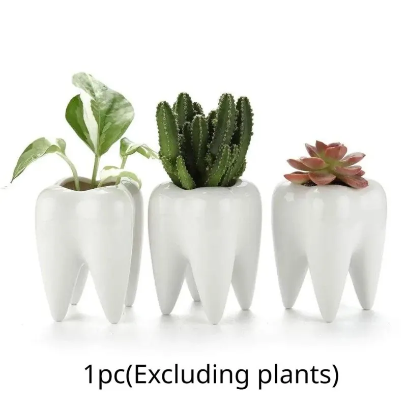 

1pc Garden Gardening Tooth Shaped Succulent Pot Pure White Ceramic Pen Holder Home Decoration Planter
