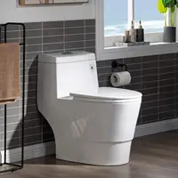 One Piece Toilet with Soft Closing Seat Chair Height 1.28 GPF Dual Water Sensed 1000 Gram MaP Flushing Score Toilet with Chrome 1