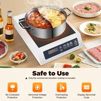 Индукционная плита 3500 Вт с цифровым трубчатым дисплеем, индукционная тепловая варочная панель для плоских кастрюль с железным дном 4,72-11,81 дюйма — изображение 3