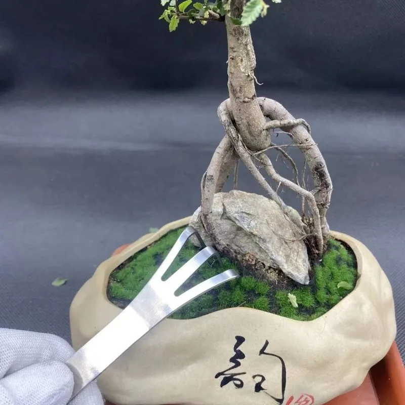 Garden Tool Stainless Steel Gardening Rake Multifunctional Bonsai Root Loosen Soil Spatula High Quality