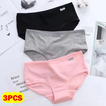 Women’s Cotton Plus-Size Panties 1