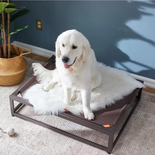 Mercadolibre Colchones Para Perros Baratos Colchon Inflable Para