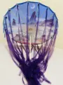 Purple moon02