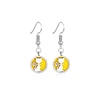 Drop Earrings Stainless Steel 12MM Diffuser Locket Aromatherapy Essential Oil Perfume Pendants Dangle Earrings Jewelry 6