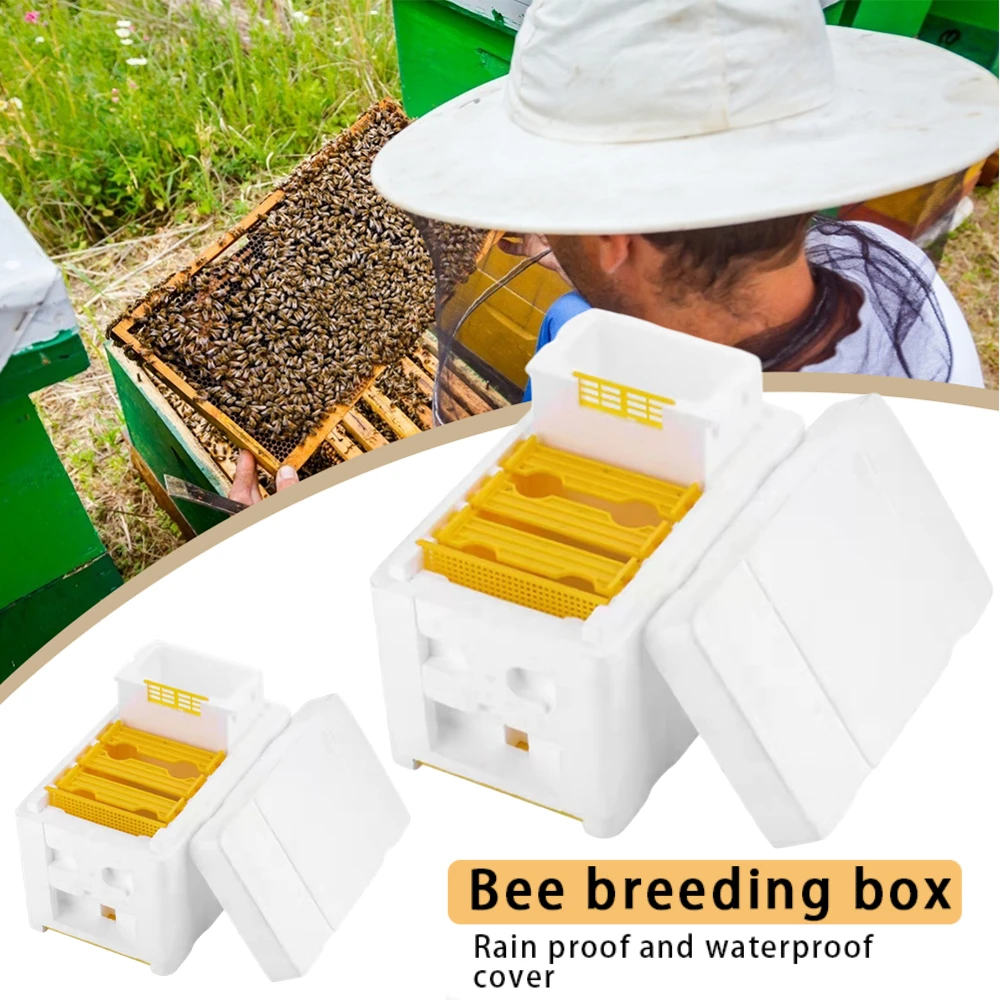 Beekeeping Tools Bee Breeding Box 1/2PCS Beehive Beekeeping Box Foam Bee Breeding Box Queen King Bee Hives Boxes Pollination House Beekeeping Equipment