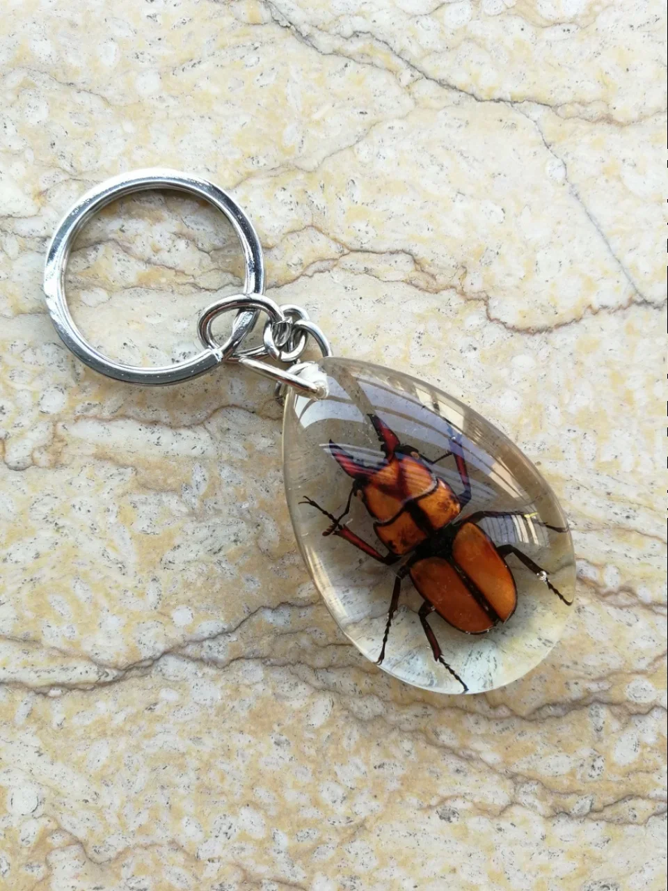 22pcs New Resin Insect Keychain Luminous Scorpion Insect Specimen Pendant Random Color Cute Keychain 3