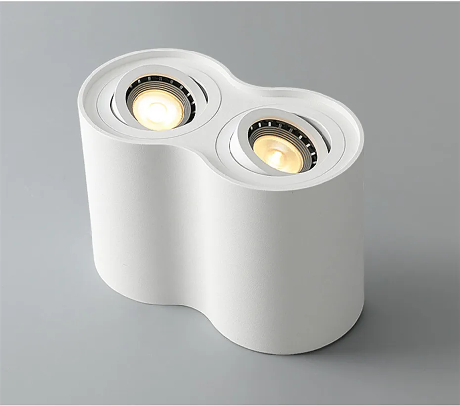 led downlights  (4)