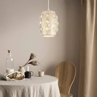 Hanging Lamps Plug In Pendant Light Cord Hollow Cage  Home Decoration Dimmer Switch For Bedroom Living Room Corner Balcony Yard 1