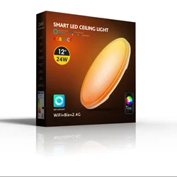 Modern Dimmable Smart LED Ceiling Light with Remote Control & App Integration - AC 220V (24W)