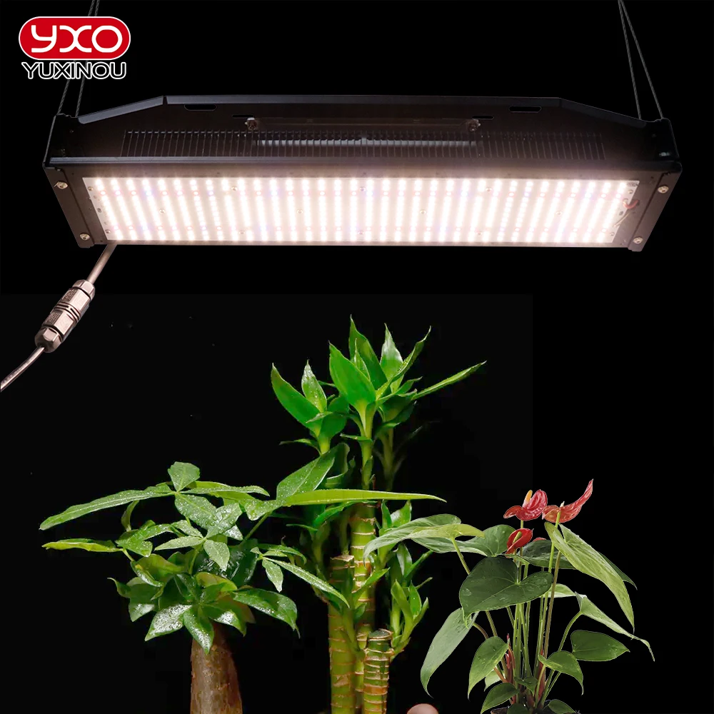 Samsung Led Grow Light Spettro Completo Lm301H 240W Hydroponics Growbox Phytolamp Per Piante Tenda Fiori Serra Veg Bloom Lamp