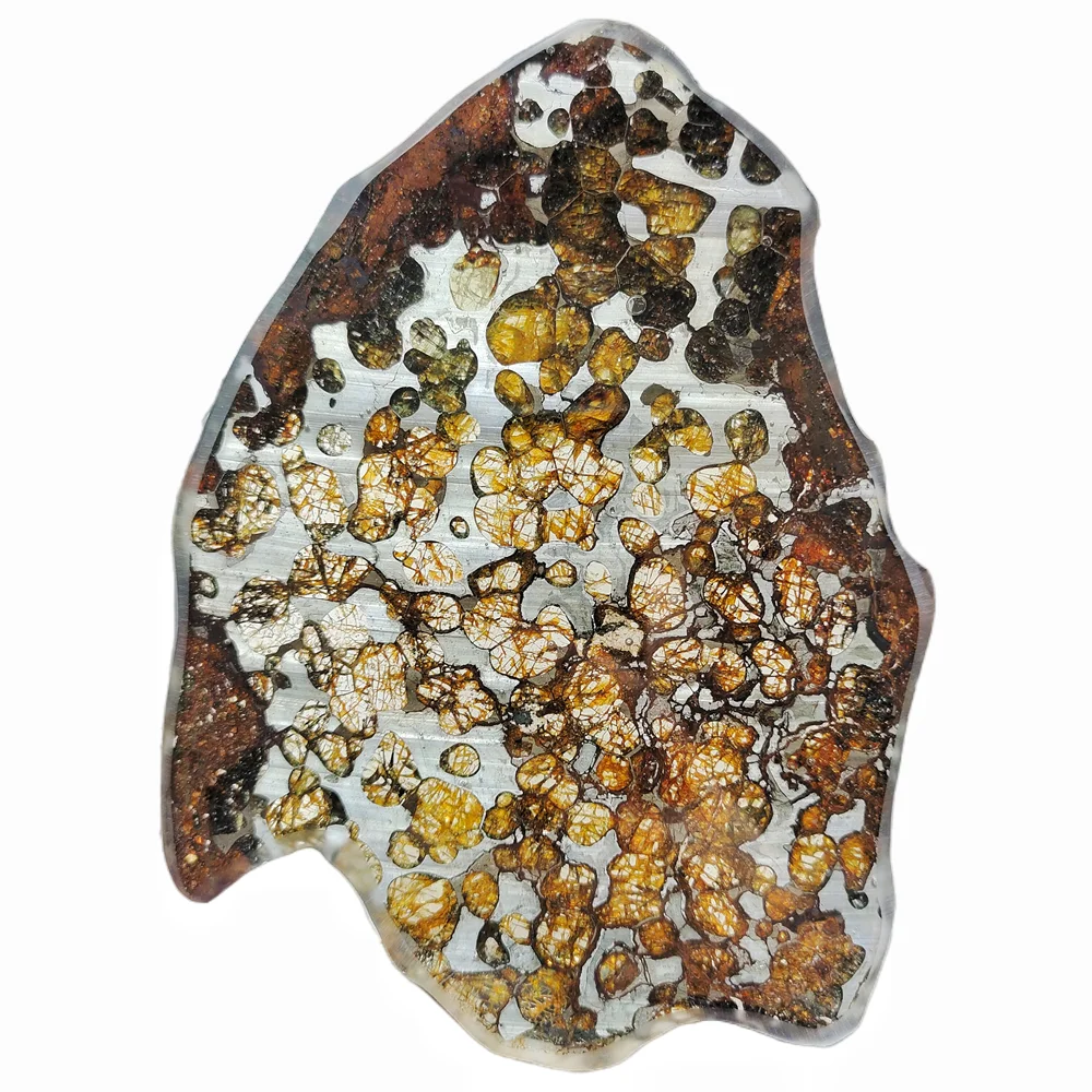 

Excellent Brenham Olive Meteorite Slices Natural Meteorite Material Specimens High Quality Olive Meteorite Specimens