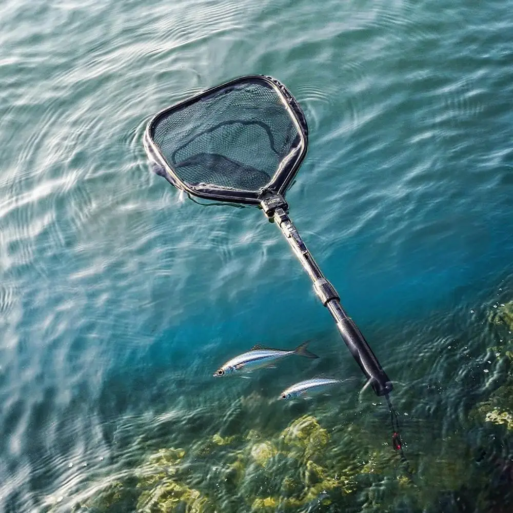 best fishing pole freshwater The Best Spinning Rods for 2026