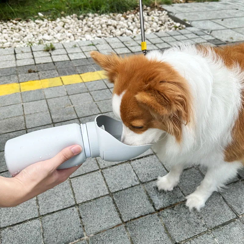 Automatic pet feeder 