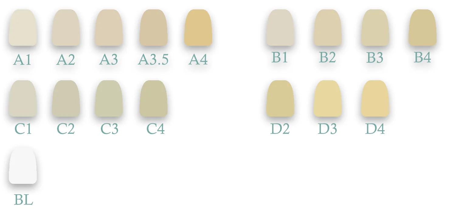 98/95/Amann 3D Prisma Multilayer Zirkonia Block Prothese 1200MPA 43-57% CADCAM Zirkonoxid Disc für Dental Labor Crown Long Bridge – Detail 8