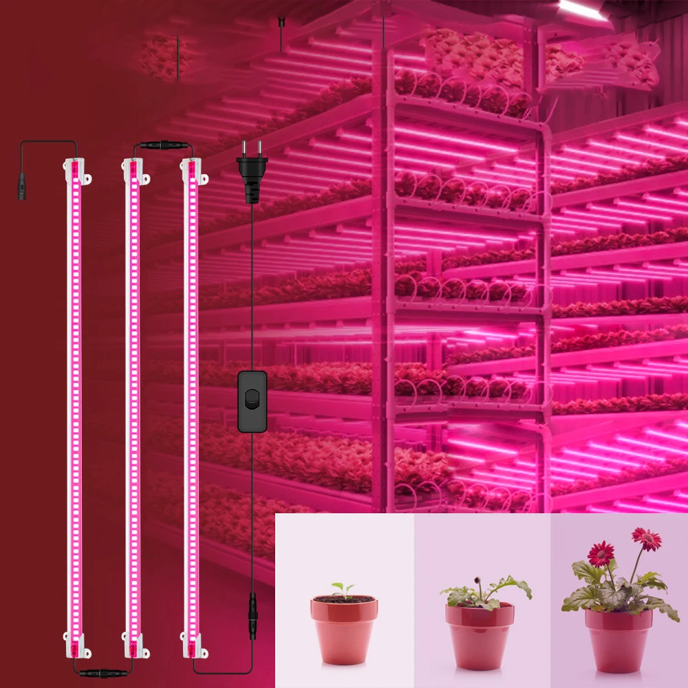 Piante Full Spectrum Led Flower Grow Tent Box Light Grow Serra Phyto Lamp Kit Veg Indoor Coltivazione Luci Di Crescita