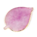Leaves Purple