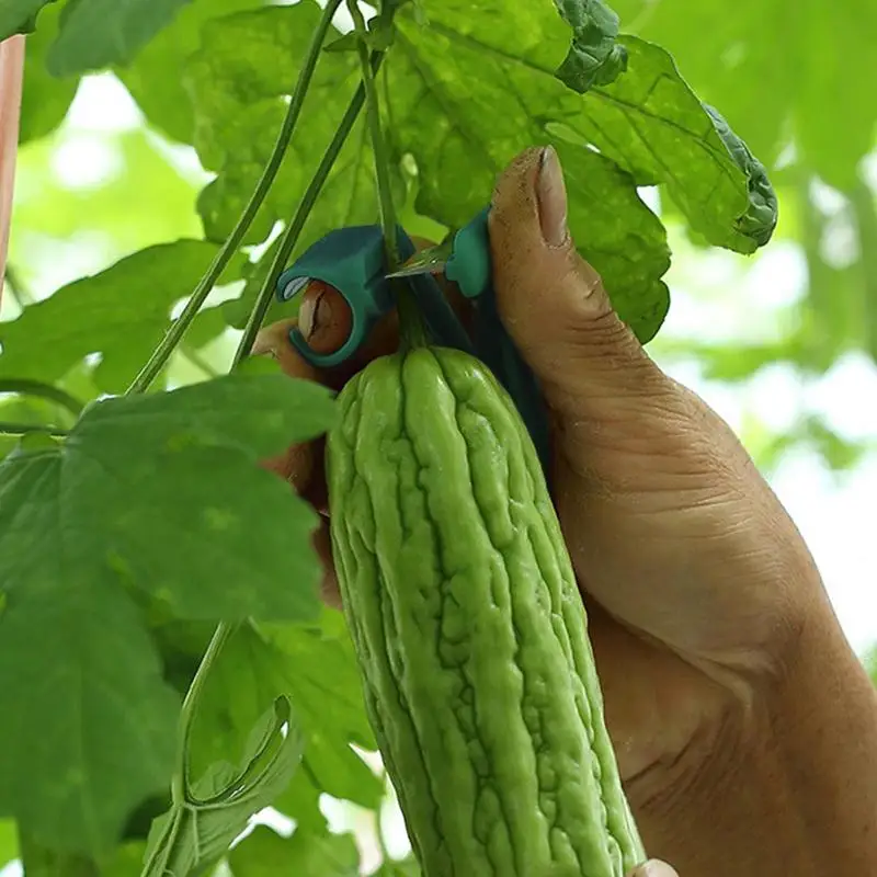 Finger Protector Silicone Thumb Knife Protector Gears Cutting Vegetable Harvesting Knife Pinching Plant Blade Scissors Knives