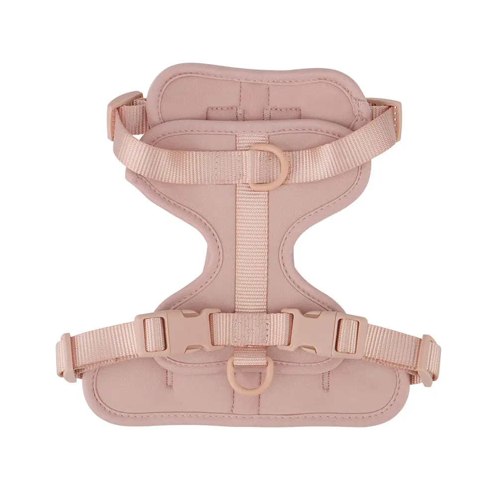 Breathable Lightweight Dog Harness with Adjustable Chest Strap for Outdoor Walks and Training