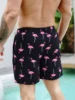 Firebird gradient lined with beach shorts 3