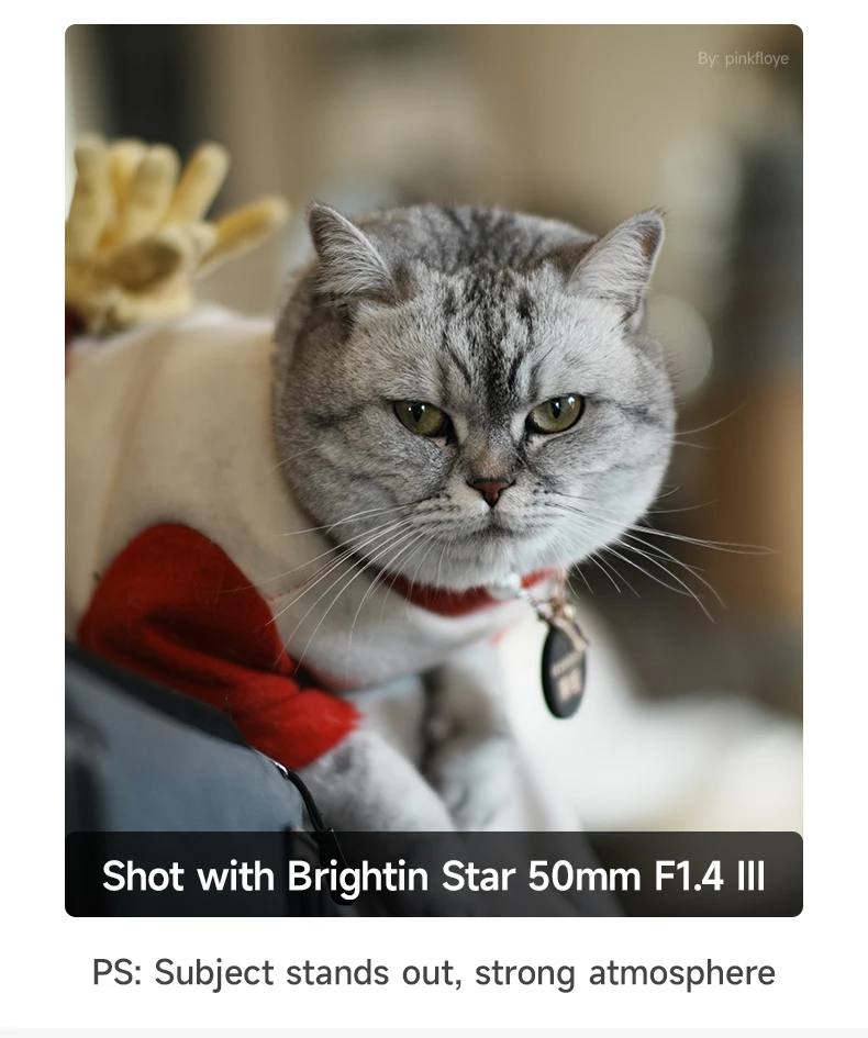 BRIGHTIN STAR MF 50mm F1.4 III APS-C Manuelles Objektiv für Fuji X Canon M Sony E Canon RF M4/3 A5000 XT30 EOSM5 ZVE10 XM5 M100 M50 R6 – Detail 4