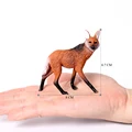Maned wolf -2
