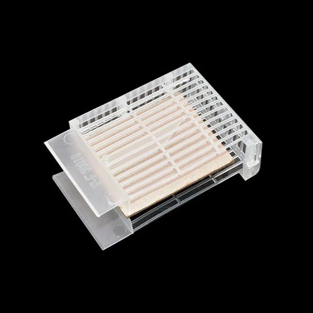 Új Hangyasav -Párologtató Párologtató Rögzített Fészekkeret Méhkas Hangulatos Ecetsav -Adagoló Varroa Atkák Megölve A Méhészeti Eszközöket - Image 6